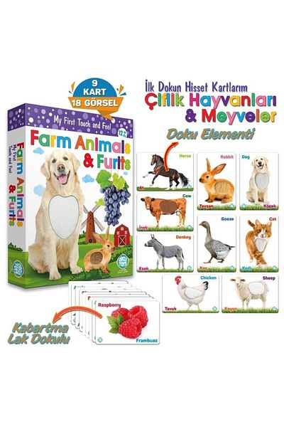 Circle Toys لمس حيوانات المزرعة والفواكه