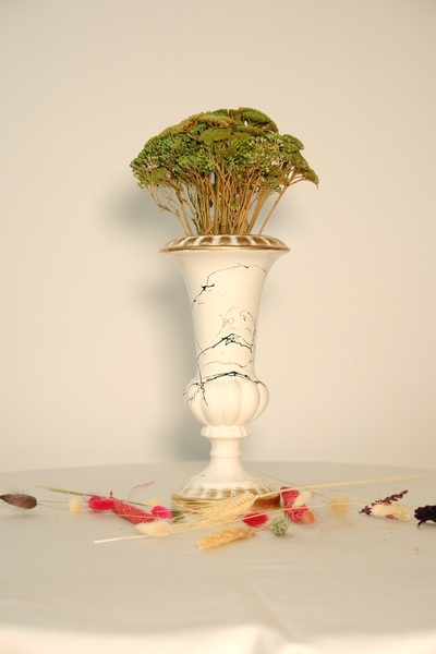 ÇINARASYADAHOME Floare uscată de șemnăcioară (ACHILEA FLİPENDULİNA) 8-10 ramu...