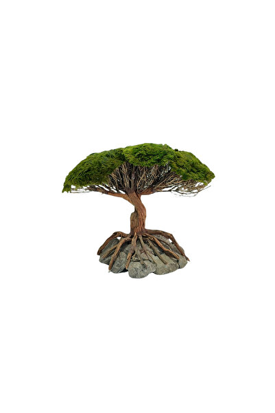 Special Ağaç Figürü Moss Sarılı