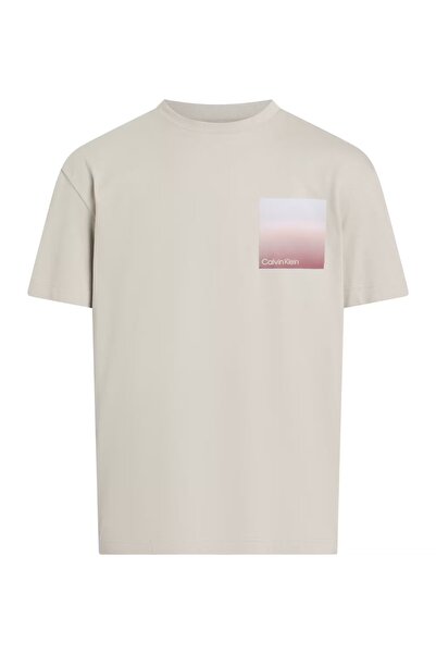 Calvin Klein Erkek Sırt Bölüm Çizgi Ve Calvin Klein Yazı Desenli Gri T-Shirt ...