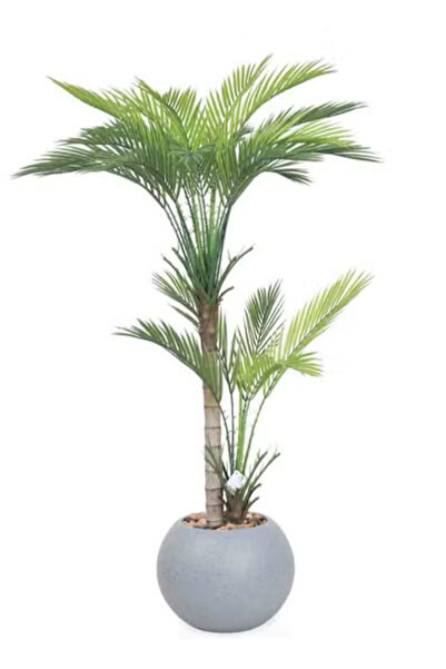 co arma شجرة صناعية محاكاة للشجر الاريكا الطبيعي بفرعين بارتفاع 120 سم