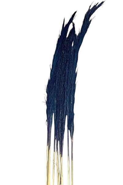 GÜZELYÜZ AVM Kuru Çiçek Pampas 7 Dal 120 cm +- Mavi Renk Dökme Yapmaz
