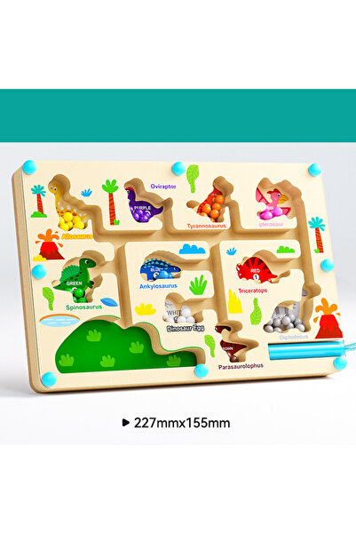 Choice4 BZS00576 A Montessori Magnetic Maze Color Sorting Game Kids Toys Fine...