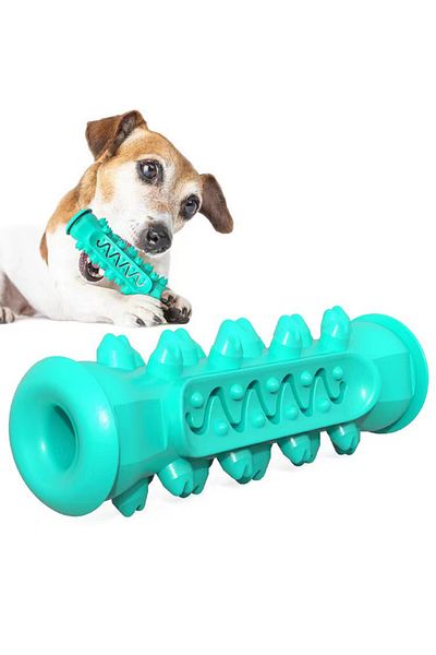 Choice Basic Blue Rubber Dog Molar Toothbrush Toys Chew Cleaning Teeth Safe Puppy Dental Care Soft Pet Clea
