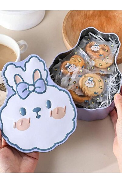 mutlu adım 1 Adet 17x14x7cm Metal Kutu Tavşan