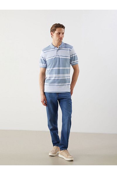 LC Waikiki Polo Neck Striped Men's T-Shirt