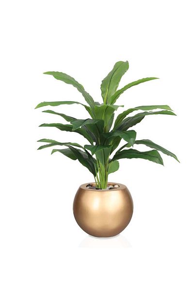co arma Artificial tree simulation of a real corn tree, 65 cm high