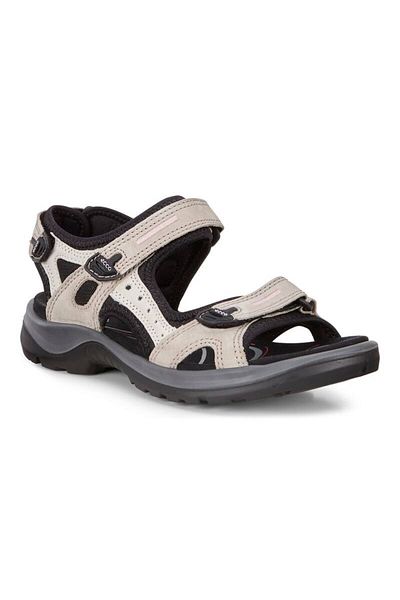 Ecco Offroad Atmosp/ice W/ubleack Nub/nub/tex