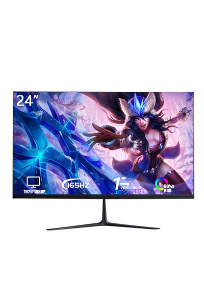 FlashHawk 24 inch 165Hz IPS Gaming Monitor with Full HD (1920x1080) Flat Screen Display