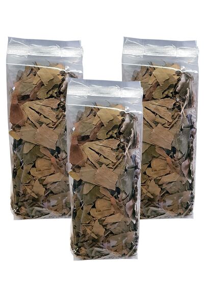 Zencefil Organik Ginkgo Biloba Bitkisi 3 Paket Ginko Biloba Çayı Kurutulmuş Ginkgo Biloba Bitki Ginkgo Biloba Yaprağı