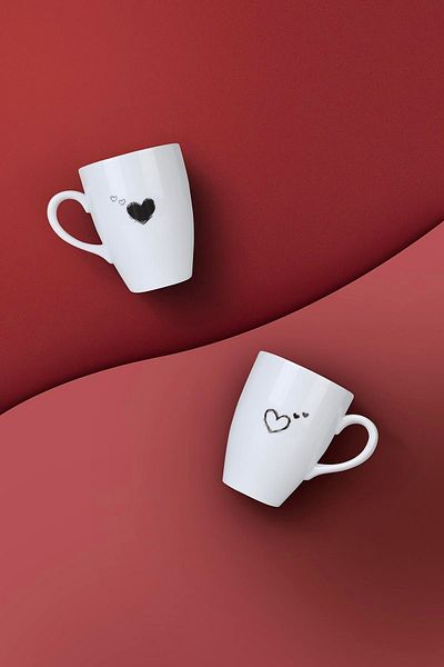 Kütahya Porselen Kutahya Porselen Pretty 2 Piece Mug Cup