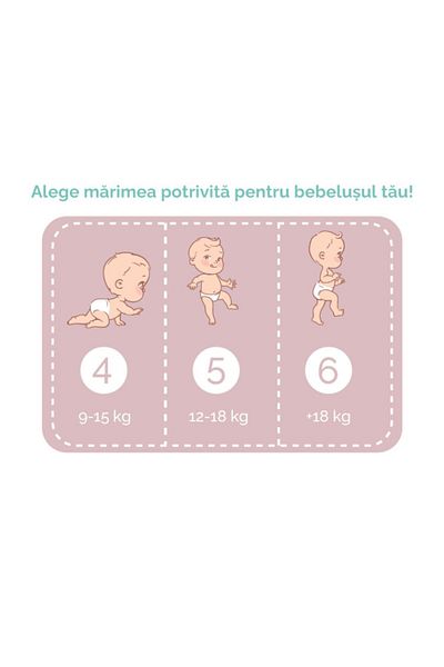 Pine Scutece chilotel Pine Pants, nr. 5, 12-18 kg, 17 buc