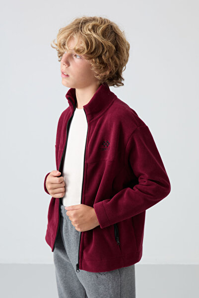 TOMMY LIFE Erguvan Kalın Yumuşak Dokulu Standart Fit Nakışlı Polar Erkek Çocuk Sweatshirt - 11223