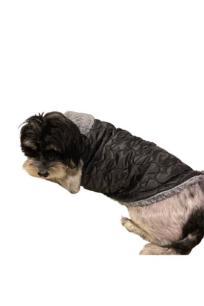 GedyCo Black Quilted Plush Inside Small Breed Dog Vest