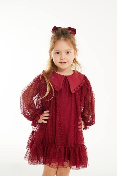 Butik Rochie de tul cu maneci lungi pentru fete