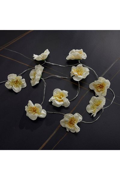 Home Box Dux 10 Flowers Warm LED String Light