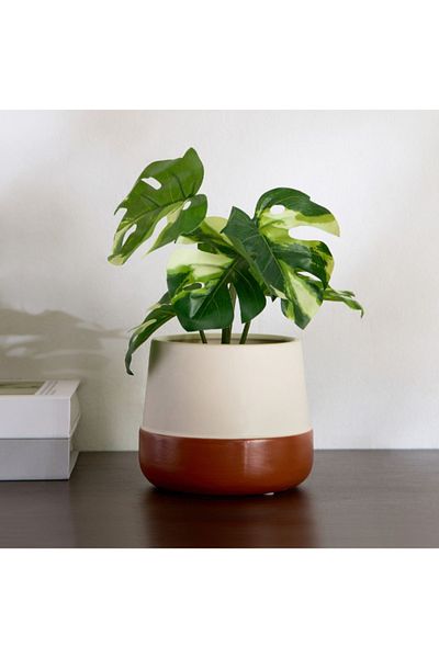 Home Box وعاء نبات فيسوس دولوميت - 12.5 × 12.5 × 10.4 سم