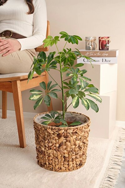 AVANTAGE HOME Romy -  Büyük Boy Dekoratif Doğal El Örmesi Kalın Hasır İç Korumalı Saksı Sepeti