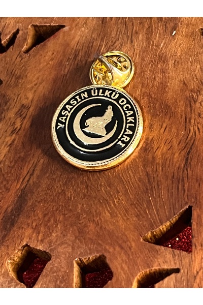 WALDORF ÜLKÜ OCAKLARI ROZETİ