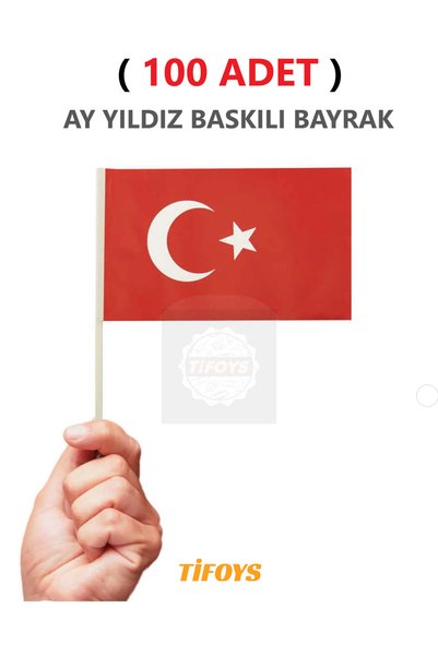 TİFOYS ( 100 Adet ) Küçük Boy Bayrak Çıtalı Kağıt Türk Bayrağı