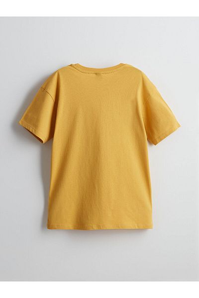 LC Waikiki Crew Neck Boy's T-Shirt