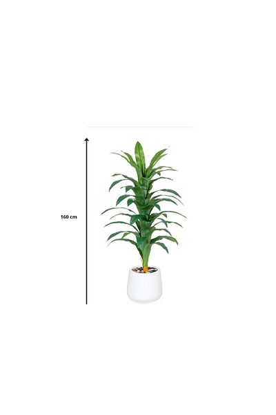Ebticar Artificial Dracaena Corn Plant-White
