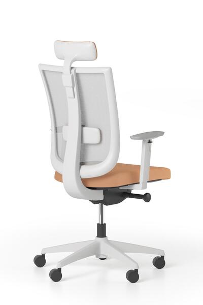 Bürotime Move Yönetici Koltuğu, Plastik Ayak, Gri & Somon