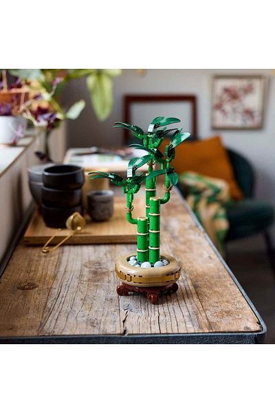 LEGO ®   Botanicals Lucky Bambu 10344 – sada na stavbu rostlin pro přírodní dospělé (325 kusů)
