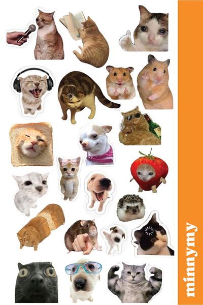Minnymy 4 τεμάχια Funny Cat, Cats, Αυτοκόλλητο, Αυτοκόλλητο, Ατζέντα, Ημερολόγιο, Planner, Bullet Journal, Scrapbook