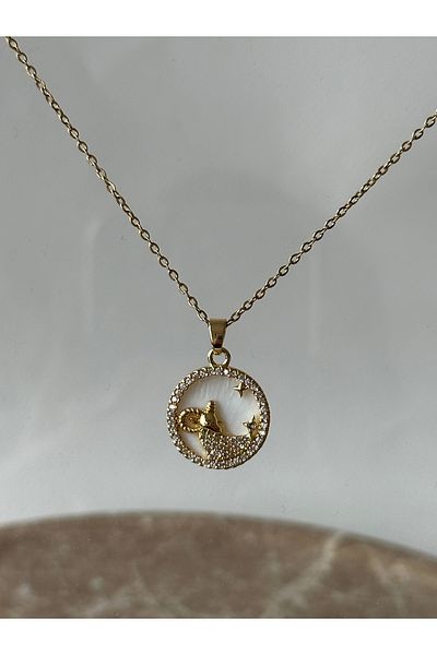 Reorah Collection Horoscope Icons Steel Necklace-Aries