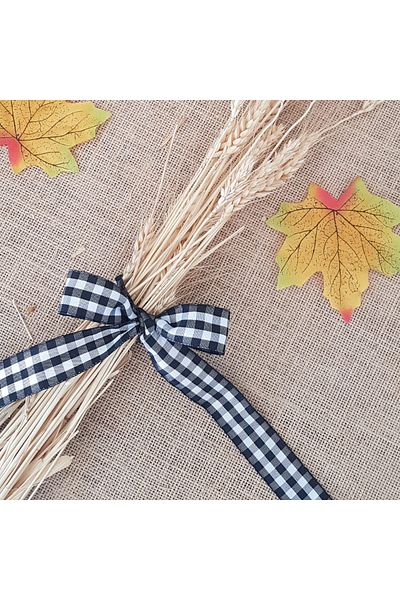 Bimotif Μαύρη Λευκή Κορδέλα Gingham, 25 mm 5 μέτρα