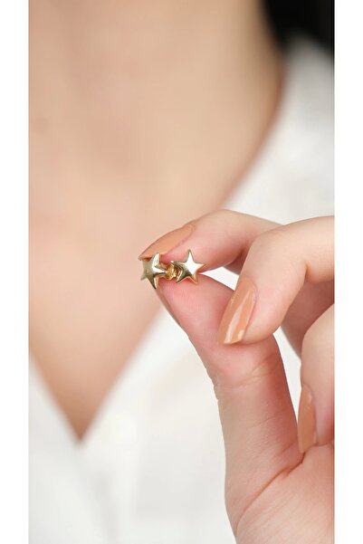 Arpaş 14 Ayar Altın Yıldız Vidalı Küpe