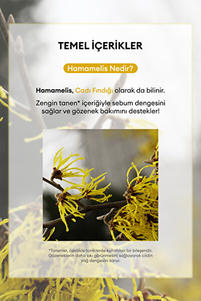 Missha Hamamelis Özlü Yağlanma Ve Gözenek Karşıtı Bakım Sunan Yaprak Maske A'pıeu Hamamelis Sheet Mask