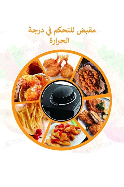 TOSCANA U 3 L 2000W Electric Oil Fryer with Stainless Steel Lid, Removable Frying Basket