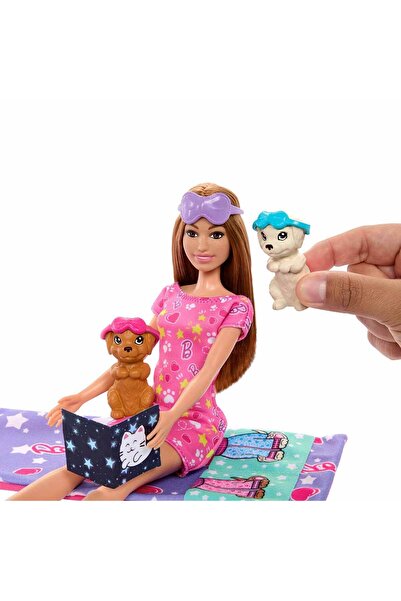Barbie Pyžamová párty s pejsky - HXN01