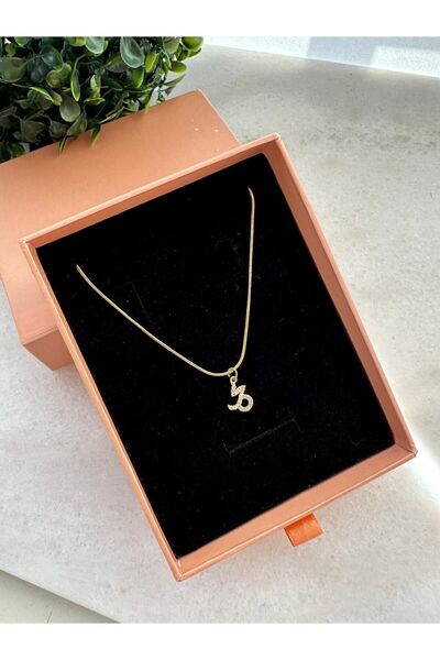 LUCKY ACCESSORIES ÇELİK ZİRKON TAŞ BURÇ KOLYE OĞLAK BURCU