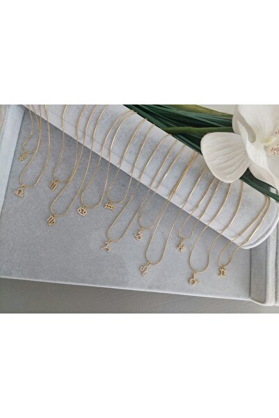 LUCKY ACCESSORIES ÇELİK ZİRKON TAŞ BURÇ KOLYE BOĞA  BURCU