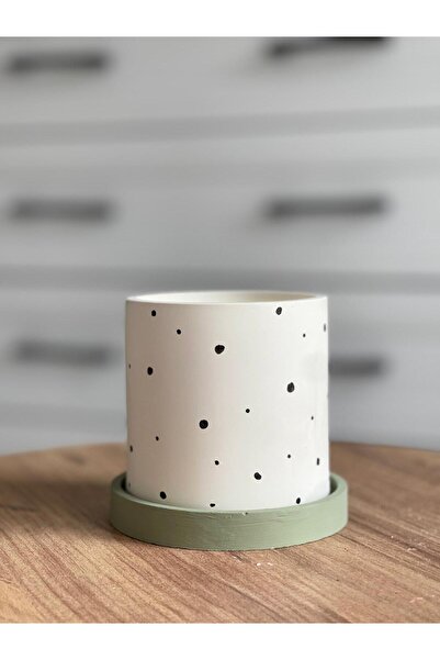 Home (BİTKİSİZ) Premium Puantiyeli Kaktüs Ve Sukulent Beton Saksı