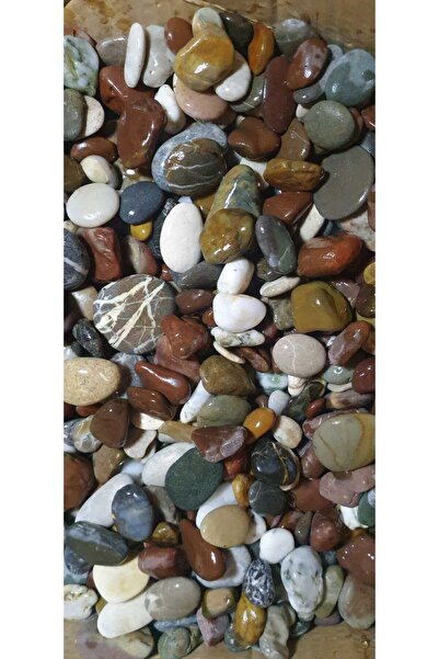 Genel Markalar Renkli Bazalt 3-5 Cm Dekoratif süs Dere Deniz Çakıl Taşı Akvar...