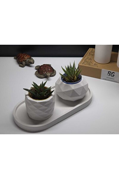 BG HANDMADE DECORATIVE HOME ACCESSORIES Tepsili Sukulent Saksı Seti Tip-4