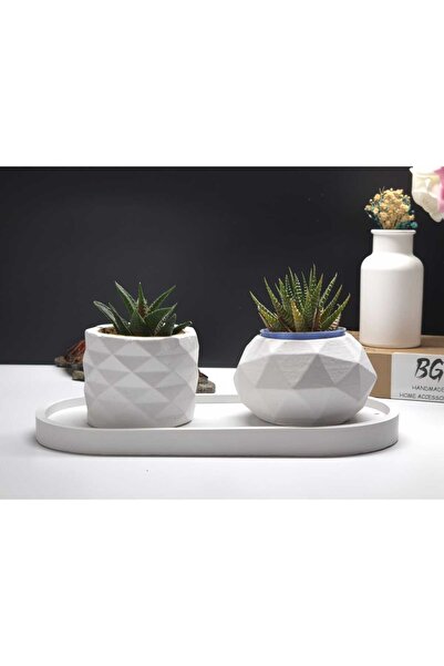 BG HANDMADE DECORATIVE HOME ACCESSORIES Tepsili Sukulent Saksı Seti Tip-4