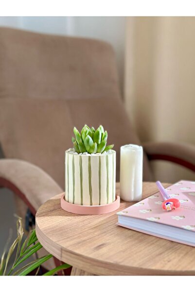 Home (BİTKİLİ) Premium Yeşil Çizgili Beton Saksıda Sukulent Ev Dekorasyon Hed...