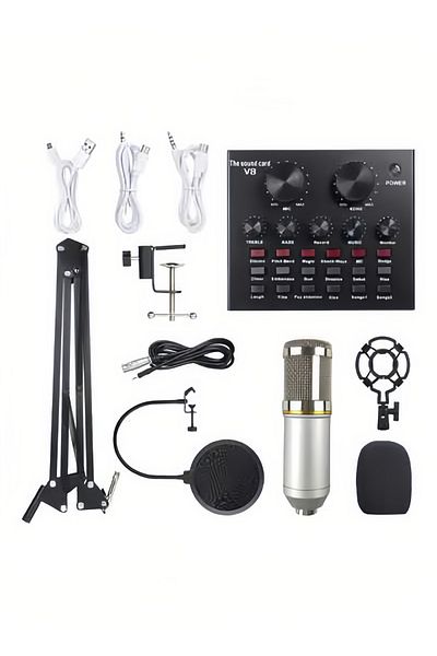 fulina Professional Sound Card And Microphone Set,With Stand,Live Sound Card,3 sponge anti nozzles