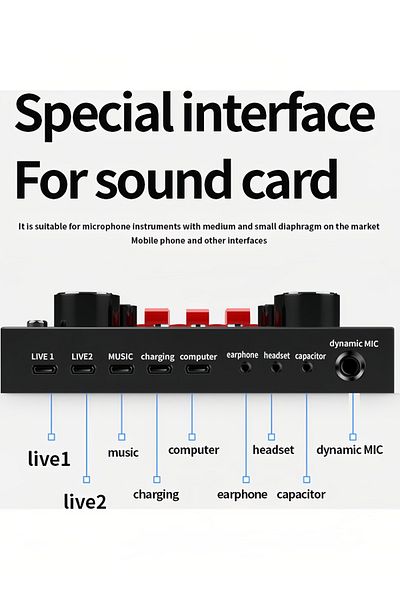 fulina Professional Sound Card And Microphone Set,With Stand,Live Sound Card,3 sponge anti nozzles,Silver