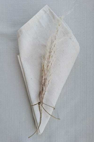 ALASEREN Fabric Napkin 2Pcs 100% Cotton 40*40 cm