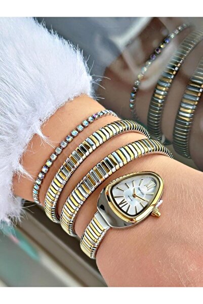 Ferrucci Milano Fc 0225 03542m.05 64004 Women Wrist Watch