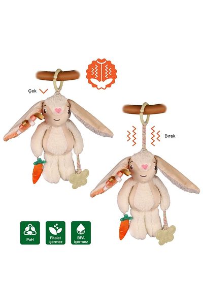 Been My Vibrating Companion Rabbit Shoes