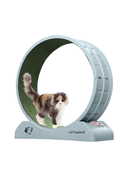 KidLe جهاز المشي للقطط - عجلة تمارين للقطط لتحسين اللياقة البدنية والصحة للقطط التي تعيش داخل المنزل