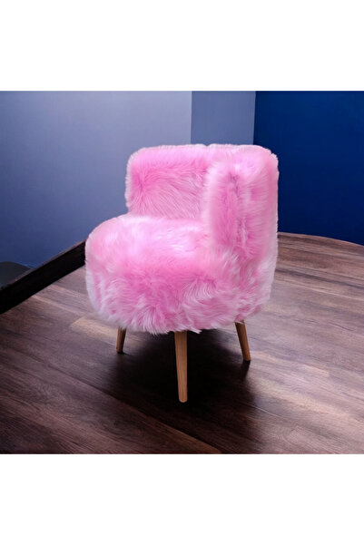 T.ipekli Puf Berjer Koltuk Pembe Puf Kedi Yatağı. 150lik Raf Çay Seti Sehpa Ayakabilik