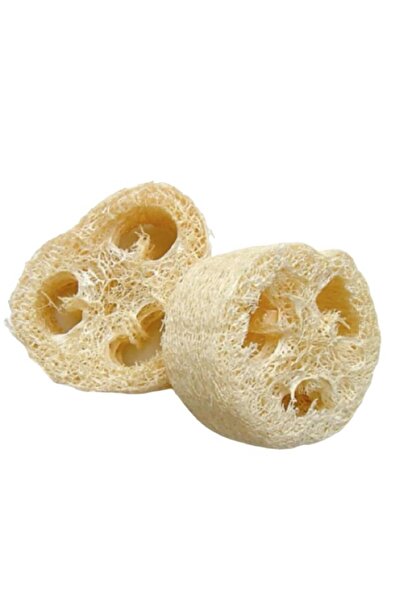 COKLEAS Mutfak & Banyo için Doğal Kokusuz Çekirdeksiz Yıkanmış Ham Kabak Lifi...